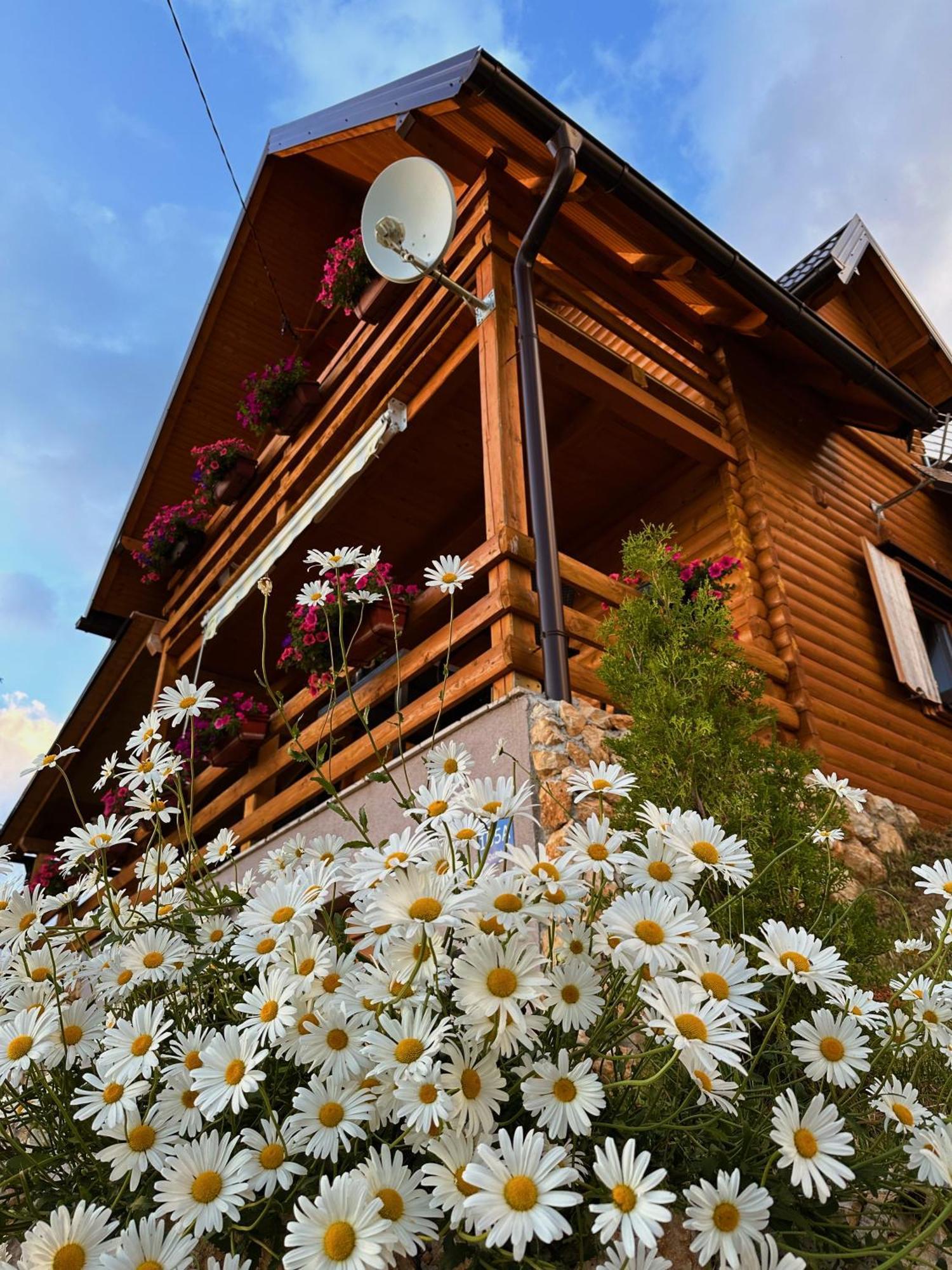 Casa Mia Resort Купрес Екстериор снимка